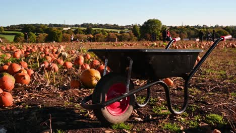 Consíguete-Una-Carretilla-Para-Recoger-Más-Calabazas