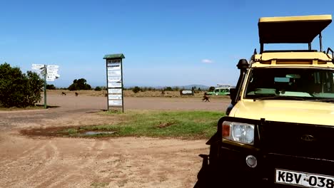 Gruppe-Von-Pavianen,-Die-Schmutzige-Straße-In-Kenia-safari-überqueren