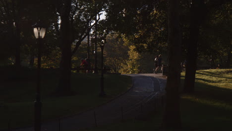 Gente-Corriendo-Trotando-En-Bicicleta-A-Lo-Largo-Del-Sendero-En-El-Parque-Central-De-La-Ciudad-De-Nueva-York-En-La-Mañana-Soleada,-Sombras-Duras-De-árboles,-Hierba-Y-Vegetación-Alrededor,-Ejercicio-Al-Aire-Libre-Con-Un-Entorno-Natural