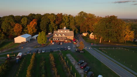 Cars-outside-rural-farm-store-and-orchard