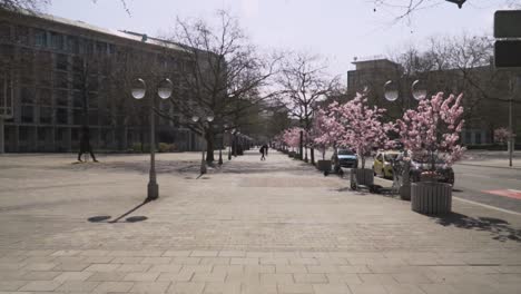 established-shot-of-city-center-with-pedestrian-walking-in-the-boulevard