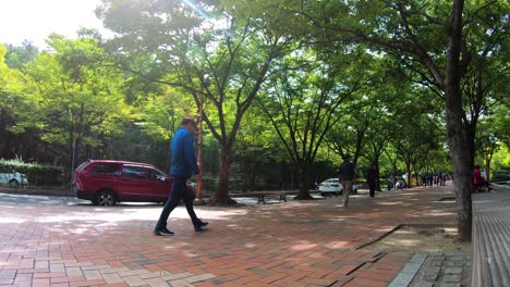 Joven-Corriendo-En-El-Parque-Duryu-Mientras-Los-Jubilados-Caminan-En-El-Fondo,-Daegu,-Corea-Del-Sur