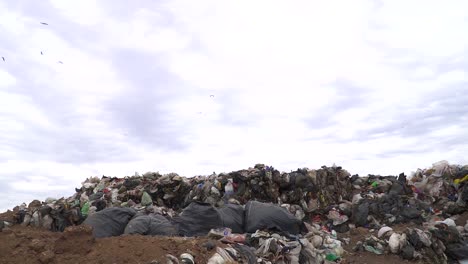 Möwen-überfliegen-Eine-Deponie,-Auf-Der-Nicht-Recycelbare-Abfälle-Abgeladen-Wurden