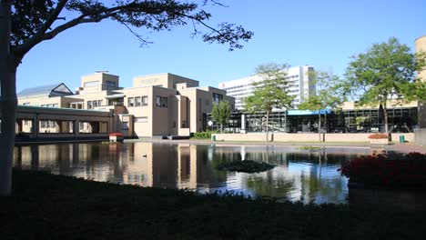 THE-HAGUE,-31-July-2020---Reflection-on-the-pond-of-Museon,-The-Hague-municipality-museum