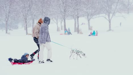 Una-Familia-Caminando-A-Través-De-Una-Tormenta-De-Nieve-Con-Su-Dálmata-A-La-Cabeza