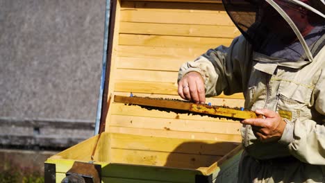 Beekeeper-in-a-full-uniform-working-and-checking-on-the-beehive