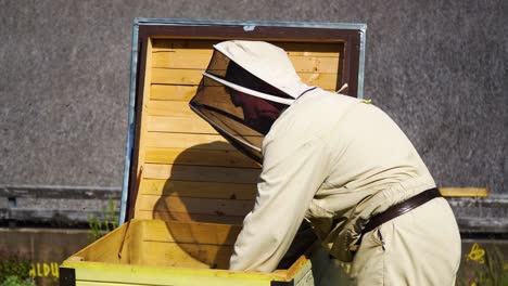 Beekeeper-in-a-full-uniform-working-and-checking-on-the-beehive