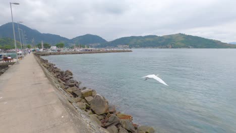 Angra-dos-Reis,-Rio-de-Janeiro,-Brazil---October-31,-2022-White-heron-flying-at-the-harbor-pier-in-the-center-of-angra-dos-reis