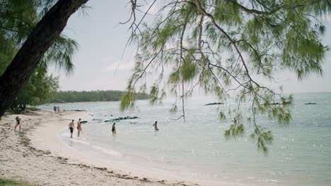 Vista-Desde-El-árbol-De-La-Gente-Caminando-En-La-Hermosa-Playa-De-Arena-Hasta-El-Agua-Azul-Del-Mar,-Mauricio