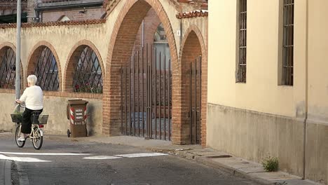 Interesting-railings-and-metal-work-in-a-street-with-an-older-lady-cycling