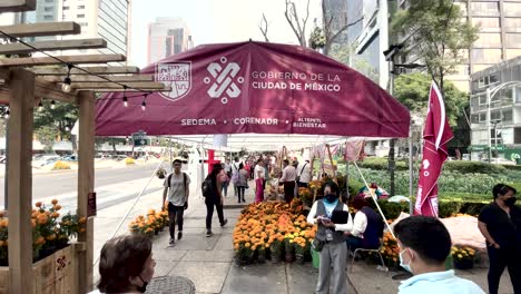 Foto-De-La-Salida-Del-Mercadillo-Dia-De-Muertos-En-La-Ciudad-De-México