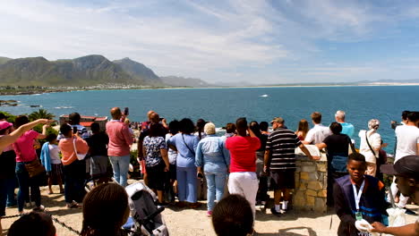 Brechas-De-Ballenas-Frente-A-Los-Turistas---Vista-Panorámica-Sobre-La-Bahía-Y-Las-Montañas