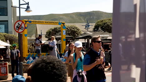 Tourists-taking-travel-pictures-in-the-yellow-Hermanus-Waterfront-frame