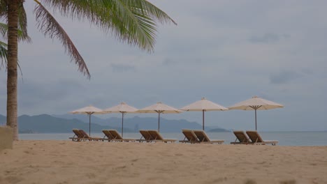 Sillas-De-Playa-Y-Sombrillas-En-El-Día-Soleado