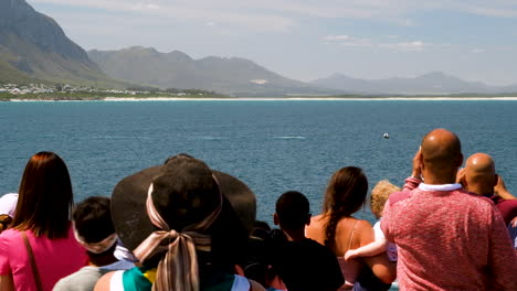 People-watch-as-whale-breaches,-Walker-Bay,-Hermanus