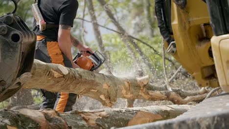 Trabajador-Que-Usa-Una-Motosierra-Eléctrica-Naranja-Para-Cortar-Un-árbol-Muerto