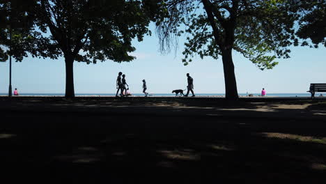 Amplio-Plano-Exterior-De-Personas-Disfrutando-De-Un-Día-De-Verano-En-El-Paseo-Marítimo-Junto-Al-Lago-Ontario