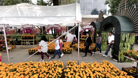 Aufnahme-Der-Traditionellen-Tianguis-De-Dia-De-Muertos-In-Mexiko-Stadt-An-Der-Paseo-De-La-Reforma-Avenue