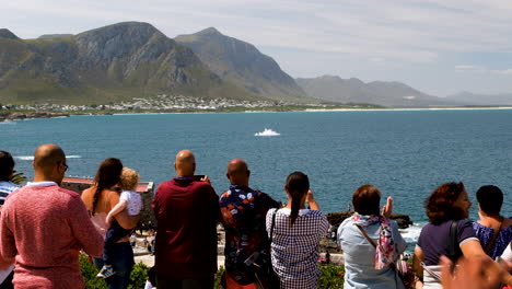 Touristen,-Die-Die-Hermanus-Klippe-Säumen,-Genießen-Den-Anblick-Eines-Wals,-Der-Durchbricht,-Eine-Malerische-Lage-Mit-Blick-Auf-Die-Berge-über-Dem-Ozean,-Die-Küste-Des-Kapwals