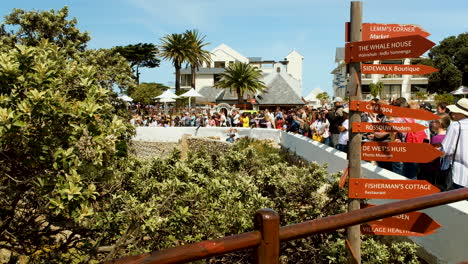 Tourists-at-viewpoint-attracted-by-whale-activity-in-Hermanus,-close-to-sign