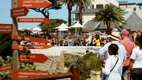 Tourists-whale-watching-from-cliffs-at-Old-Harbour-Hermanus-close-to-famous-sign