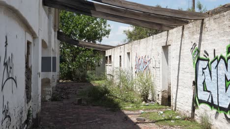 Graffiti-paint-on-brick-walls-of-overgrown-abandoned-derelict-building