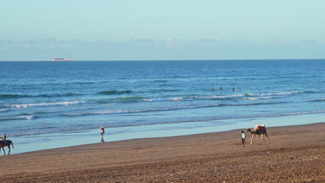 Camello-Y-Caballos-En-La-Playa-De-Ain-Diab-En-Casablanca-Marruecos