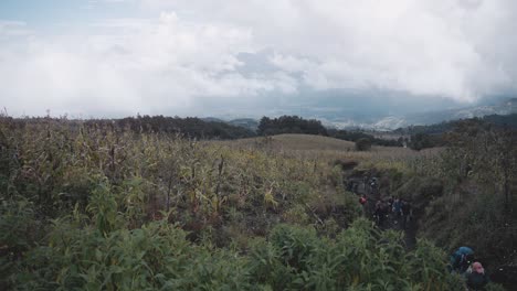 Group-of-tourist-hikers-going-up-for-Acatenango-in-Guatemala,-handheld-view