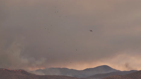 Pájaros-Y-Un-Avión-Sobre-Un-Incendio-Forestal