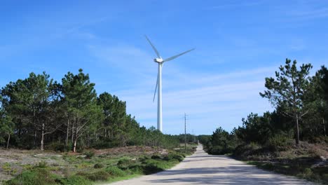 Toma-Distante-De-Un-Solo-Aerogenerador-Girando-Con-Cielo-Azul-Y-Bosque-De-Pinos-A-Ambos-Lados-De-La-Carretera-Debajo-Y-Líneas-Eléctricas