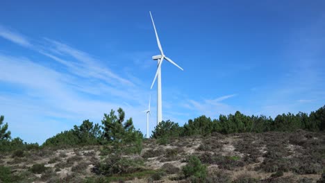 Dos-Turbinas-De-Energía-Eólica-Girando-Bajo-El-Sol-Con-Pinos-Y-Suelo-En-Primer-Plano