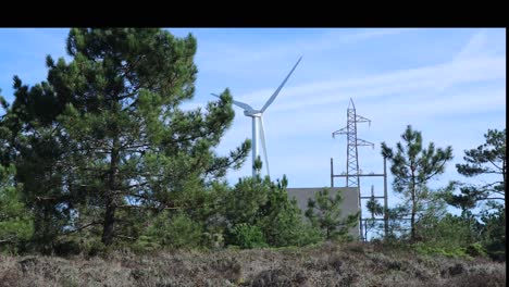 Turbinas-Eólicas-Giratorias-Y-Líneas-Eléctricas-Con-Pinos-En-Primer-Plano