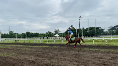 Die-Jockeys-Trainieren-Ihre-Pferde,-Um-Sich-Auf-Pferderennen-Auf-Der-Strecke-Vorzubereiten