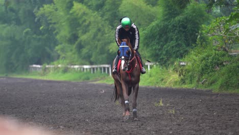 Un-Jinete-Entrenando-A-Su-Caballo-De-Carreras-En-La-Pista