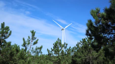 Drehende-Windkraftanlage-Mit-Grünen-Kiefern-Im-Vordergrund