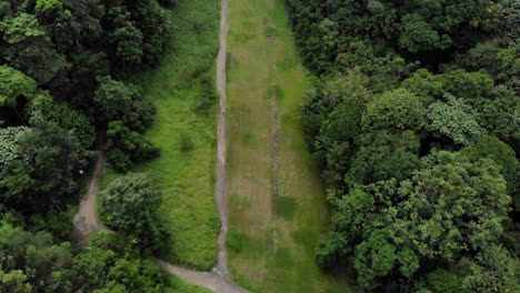 Revelación-Del-Corredor-Del-Bosque-Verde-De-Drones-4k