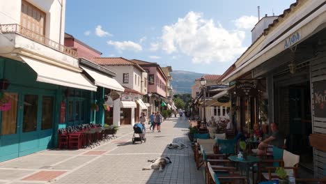 Statische-Aufnahme-Einer-Ioannina-straße-Mit-Leuten,-Die-Mit-Liegenden-Hunden-Durch-Die-Straße-Gehen