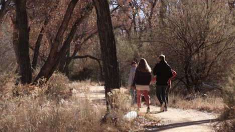 Wanderer,-Die-Entlang-Des-Flusses-Durch-Den-Majestätischen-Wald-In-New-Mexico-Wandern