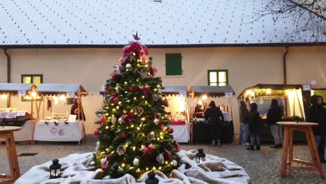 Mercado-De-Navidad-En-La-Plaza-Del-Casco-Antiguo-Con-El-árbol-De-Navidad-De-La-Ciudad