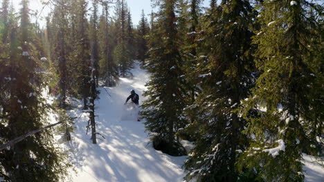 Snowmobile-winding-downhill-between-snowy-arctic-circle-alpine-forest-trees