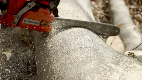 Cerca-De-Motosierra-Husqvarna-Cortando-En-Tronco-De-árbol