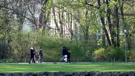 Menschen-Gehen-Im-Park-Spazieren-Und-Genießen-Die-Gesellschaft-Des-Anderen