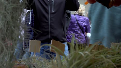 Shoppers-walking-around-a-flower-market-in-Meran---Merano,-South-Tyrol,-Italy