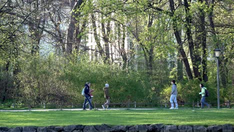 La-Gente-Camina-Por-Un-Sendero-En-El-Jardín-Inglés-En-Munich