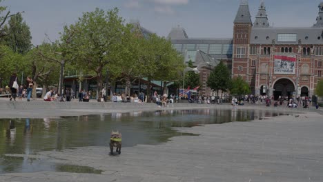 General-shot-of-a-dog-coming-towards-camera-with-a-frisbie-in-its-mouth-near-the-Rijksmuseum-in-Amsterdam,-Netherlands