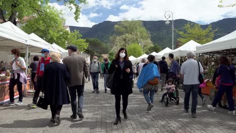 Besucher-Und-Käufer,-Die-über-Den-Jährlichen-Blumenmarkt-Gehen-Und-Sich-Die-Ausgestellten-Blumen-Und-Pflanzen-Ansehen