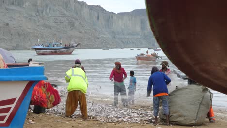 Lokaler-Fischer,-Der-Den-Fang-Aus-Dem-Netz-Am-Strand-Von-Gwadar-Sortiert