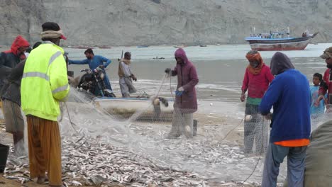 Lokaler-Fischer,-Der-Den-Fang-Aus-Dem-Netz-Am-Strand-Von-Gwadar-Sortiert