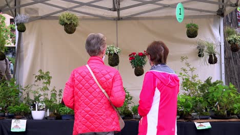 Zwei-Frauen-Betrachten-Die-Blumen,-Die-Während-Des-Jährlichen-Blumenmarktes-An-Einem-Stand-Ausgestellt-Sind