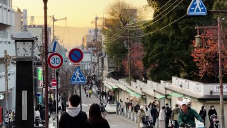 Una-Calle-Concurrida-En-Nara-Japón